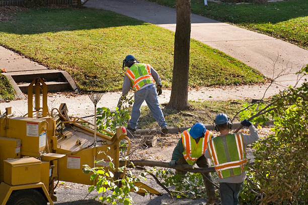 Best Landscape Design and Installation  in Progress Village, FL